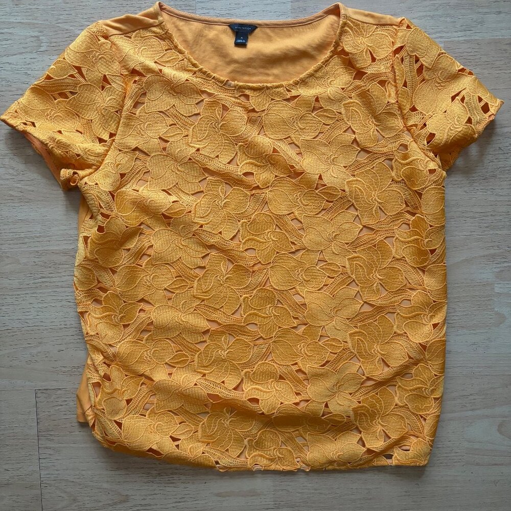 Ann Taylor Orange Lace Blouse